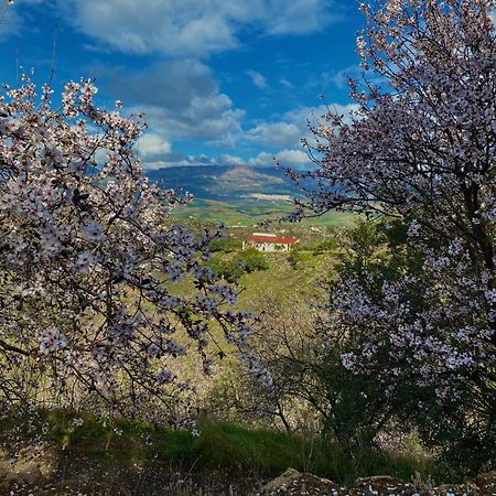 El Sueno, Cortijo Andalusi Del Siglo XIX Vila Almogía Exterior foto
