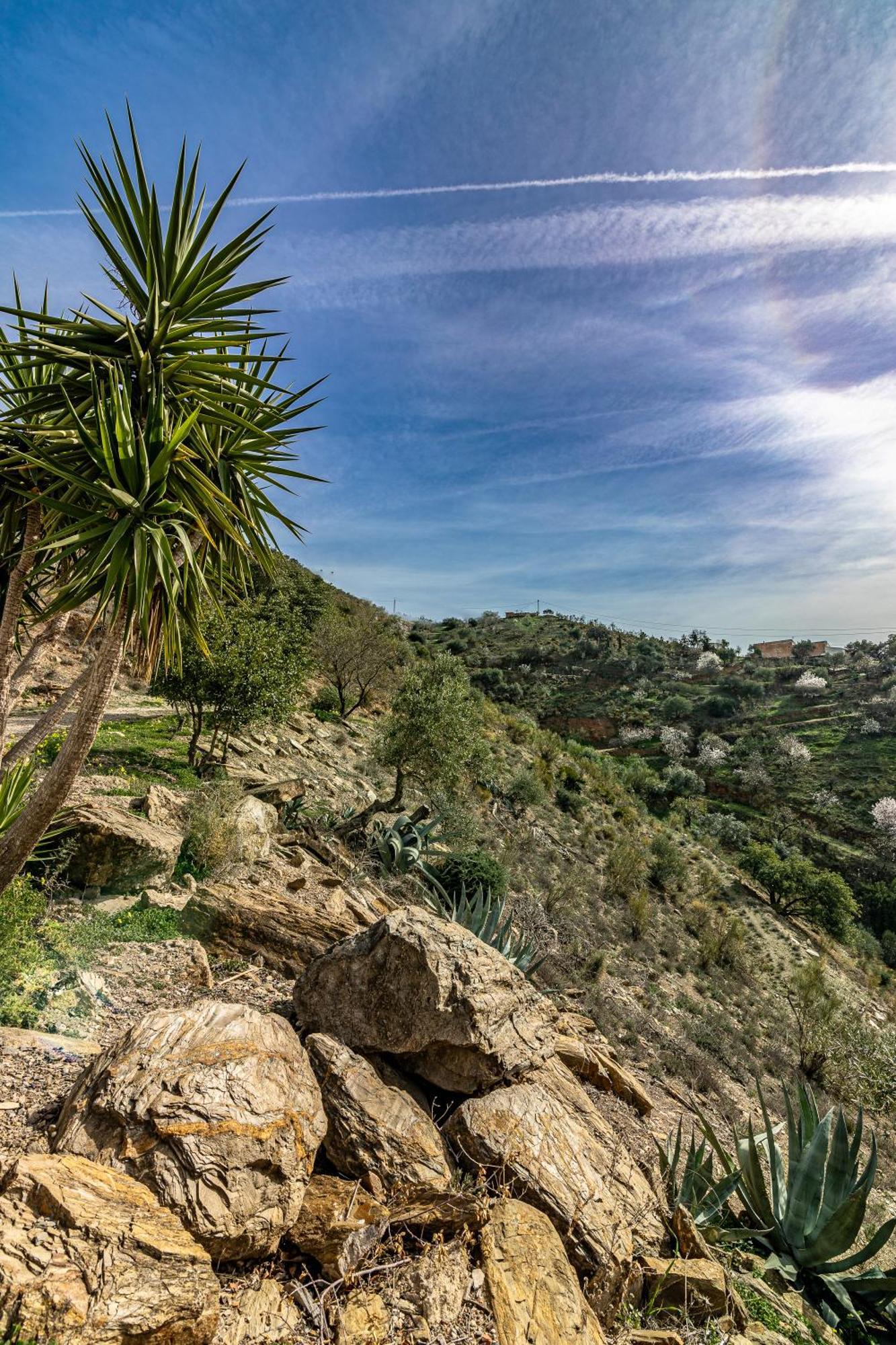 El Sueno, Cortijo Andalusi Del Siglo XIX Vila Almogía Exterior foto