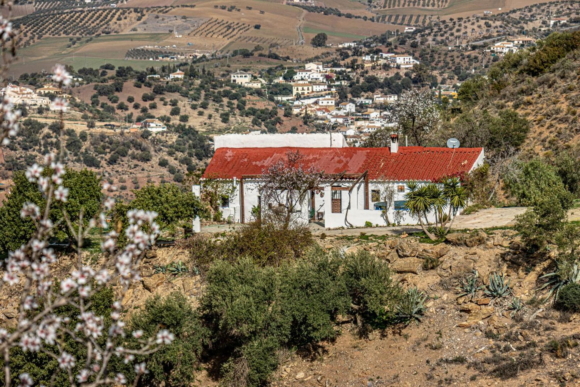 El Sueno, Cortijo Andalusi Del Siglo XIX Vila Almogía Exterior foto