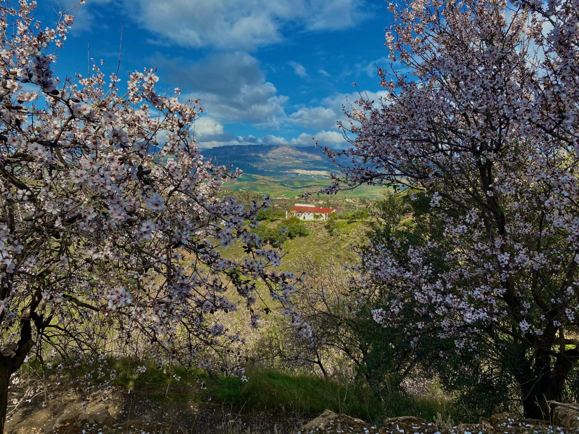 El Sueno, Cortijo Andalusi Del Siglo XIX Vila Almogía Exterior foto