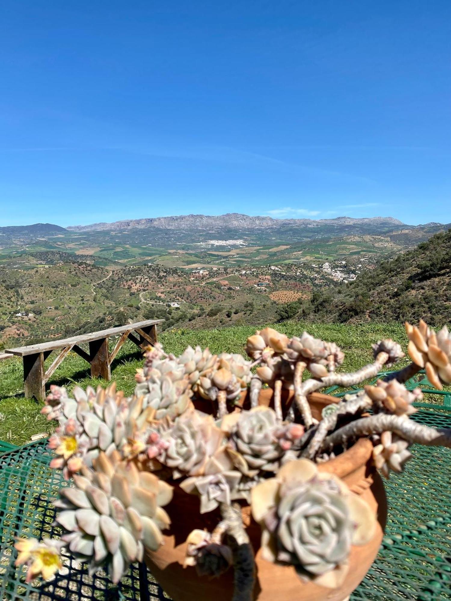 El Sueno, Cortijo Andalusi Del Siglo XIX Vila Almogía Exterior foto